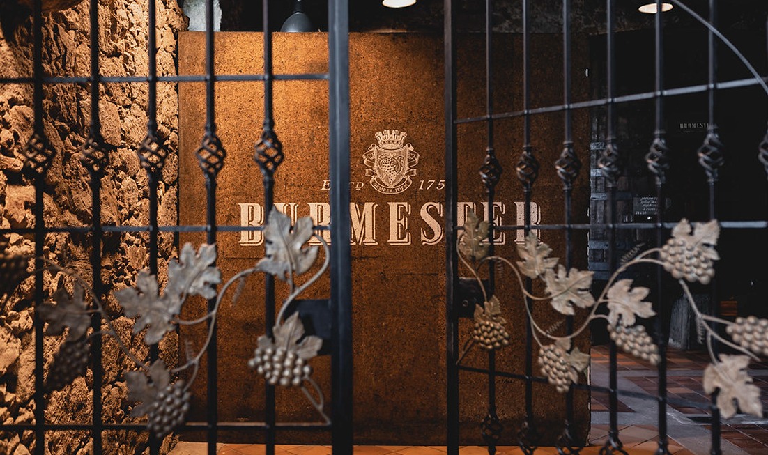 Bridges Cruise Porto with wine tasting experience